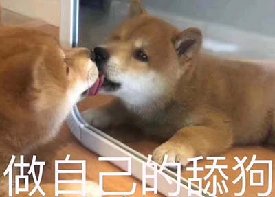 tg是什么意思