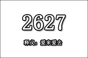 2627是什么意思
