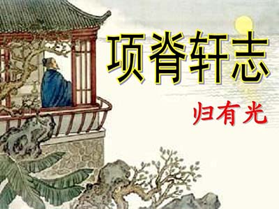种枇杷树什么梗