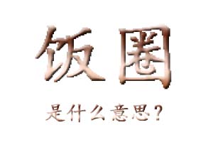 饭圈是什么意思
