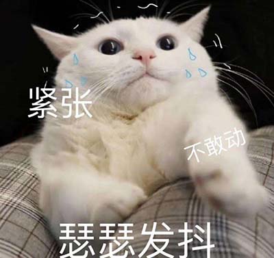 ssfd是什么意思