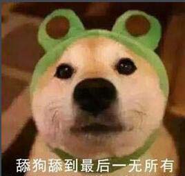 舔狗是什么意思