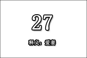 27是什么意思