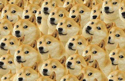 doge是什么梗
