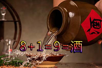 8+1是什么意思