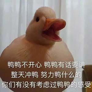 DUCK不必是什么意思？DUCK不必是什么梗？