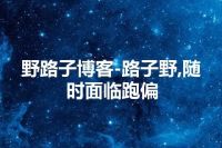 野路子博客-路子野,随时面临跑偏