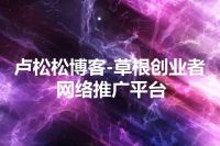 卢松松博客-草根创业者网络推广平台