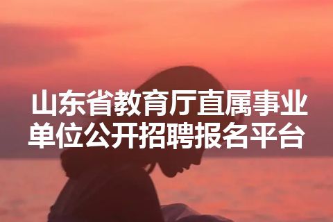 山东省教育厅直属事业单位公开招聘报名平台