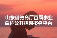 山东省教育厅直属事业单位公开招聘报名平台