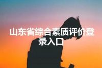 山东省综合素质评价登录入口