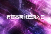 有赞微商城登录入口