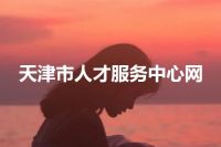 天津市人才服务中心网