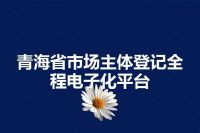 青海省市场主体登记全程电子化平台