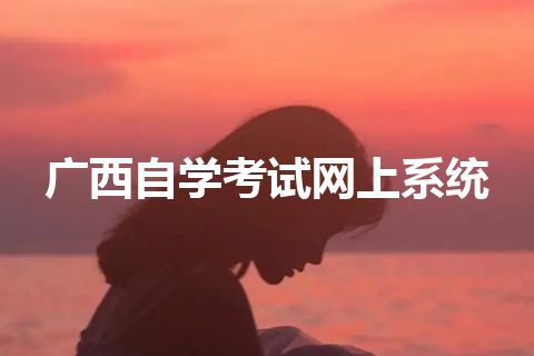 广西自学考试网上系统 广西自学考试网上系统