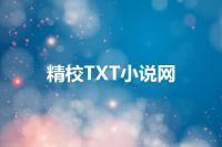 精校TXT小说网