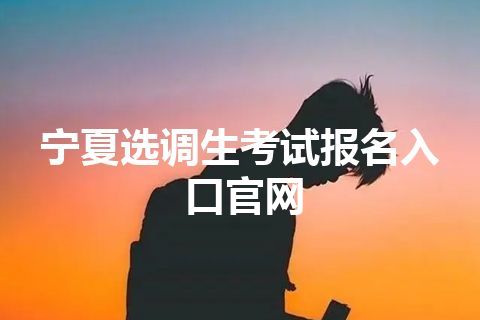 宁夏选调生考试报名入口官网 宁夏选调生考试报名入口官网