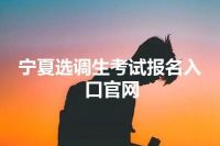 宁夏选调生考试报名入口官网