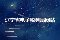 辽宁省电子税务局网站