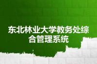 东北林业大学教务处综合管理系统
