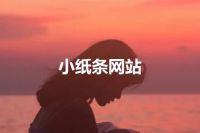 小纸条网站