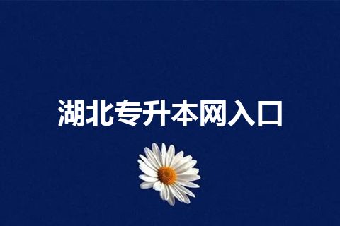 湖北专升本网入口