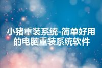 小猪重装系统-简单好用的电脑重装系统软件