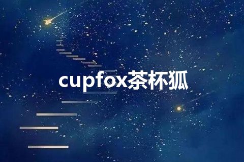 cupfox茶杯狐 cupfox茶杯狐