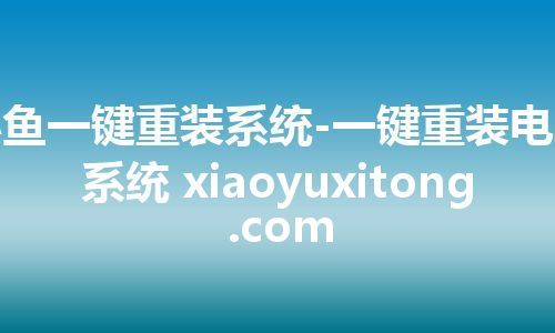 小鱼一键重装系统-一键重装电脑系统 xiaoyuxitong.com