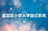 武昌区小学入学登记系统