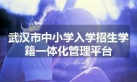 武汉市中小学入学招生学籍一体化管理平台