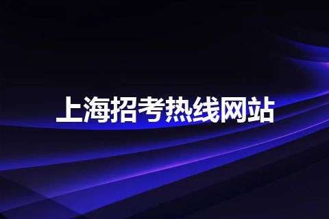 上海招考热线网站