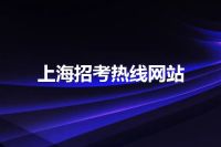 上海招考热线网站