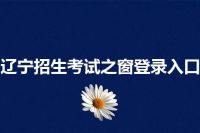 辽宁招生考试之窗登录入口