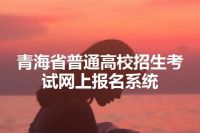 青海省普通高校招生考试网上报名系统