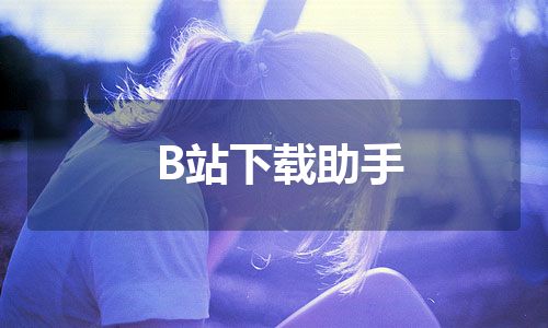 B站下载助手
