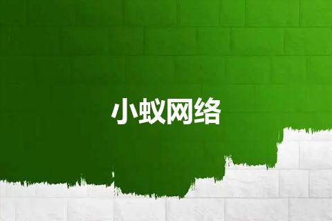 小蚁网络