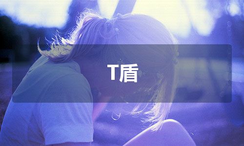 T盾