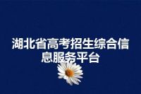 湖北省高考招生综合信息服务平台