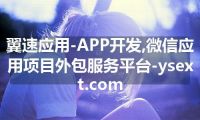 翼速应用-APP开发,微信应用项目外包服务平台-ysext.com