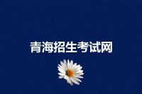 青海招生考试网