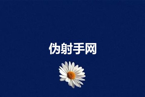 伪射手网