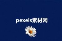 pexels素材网