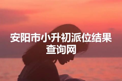 安阳市小升初派位结果查询网