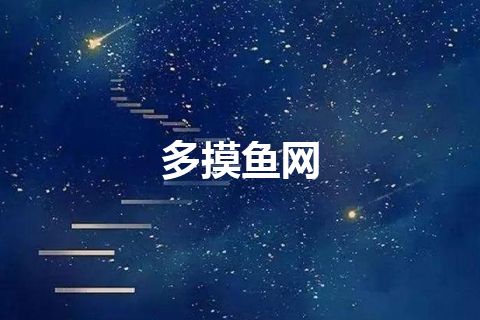 多摸鱼网