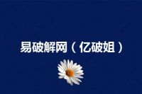 易破解网（亿破姐）
