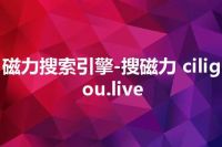 磁力搜索引擎-搜磁力 ciligou.live
