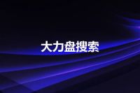 大力盘搜索