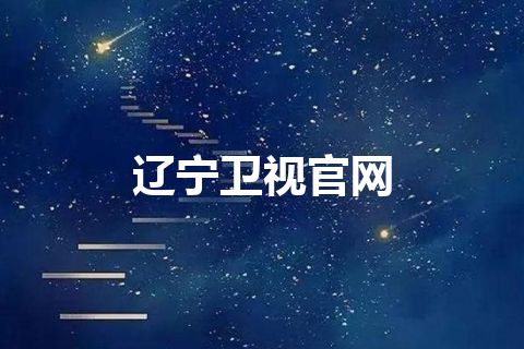 辽宁卫视官网