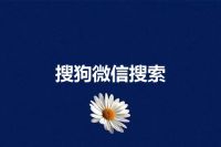 搜狗微信搜索
